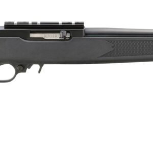 Ruger 10/22 Synthetic