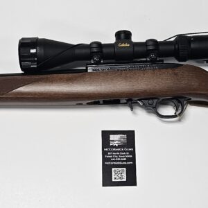 RUGER 10/22 WOOD STOCK/SCOPE COMBO